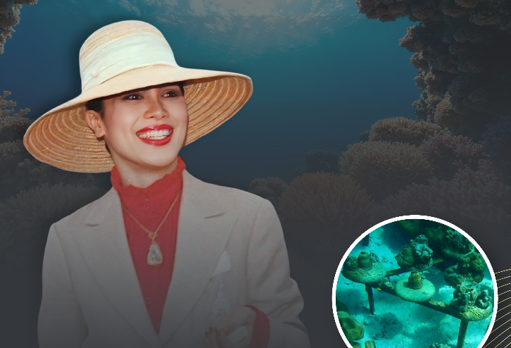 จากพระราชเสาวนีย์ สู่ &ldquo;ปะการังเทียมลูกถ้วยฉนวนไฟฟ้า&rdquo; ชุบชีวิตทะเลไทย