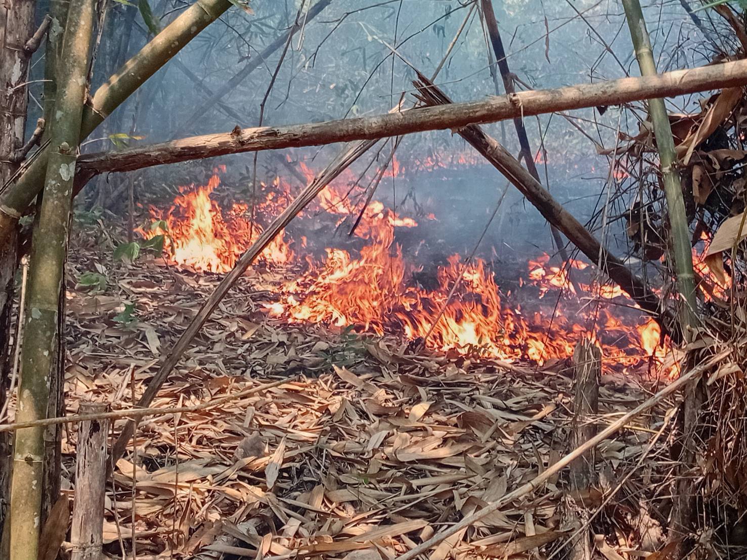 ศูนย์ฯ War Room อุทยานแห่งชาติเขื่อนศรีนครินทร์ กลุ่มป่าที่ 12 กลุ่มป่ารอบเขื่อนศรีนครินทร์ (จังหวัดกาญจนบุรี) ขอรายงานผลการปฏิบัติงาน ดังนี้