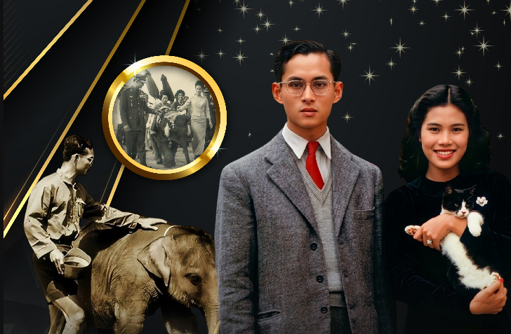 "...ตามแนวพระราชดำริ สู่การอนุรักษ์สัตว์ป่าและฟื้นฟูทรัพยากรธรรมชาติอย่างยั่งยืน..."