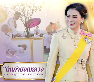 &ldquo;ต้นคำมอกหลวง&rdquo; ต้นไม้ทรงปลูก ณ อุทยานเฉลิมพระเกียรติฯ สืบสาน รักษา ต่อยอด พระราชดำริ "ป่าและน้ำ"