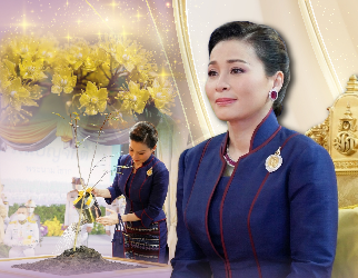 "ต้นรวงผึ้ง" ต้นไม้ทรงปลูก ณ สวนป่าเบญจกิติ สัญลักษณ์แห่งการสืบสาน รักษา ต่อยอด ป่าในใจคน