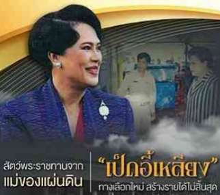 &ldquo;เป็ดอี้เหลียง&rdquo; ทางเลือกใหม่ สร้างรายได้ไม่สิ้นสุด สัตว์พระราชทานจากแม่ของแผ่นดิน