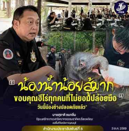  "รมว.สุชาติ" ลงพื้นที่อุทยานฯ ไทรโยค ติดตามการรักษา "ลูกช้างป่าพลัดหลง" ชื่นชมเจ้าหน้าที่ทุ่มเทฝ่ากระแสน้ำช่วยชีวิต เผยอาการน้องดีขึ้นต่อเนื่อง