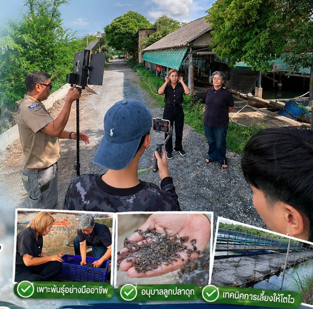 ทีมงาน NBT กาญจนบุรี เดินทางผลิตรายการเมืองไทยเมืองเกษตร สถานที่ สี่ร้อยฟาร์ม ต.สี่ร้อย อ.วิเศษชัยชาญ จ.อ่างทอง 