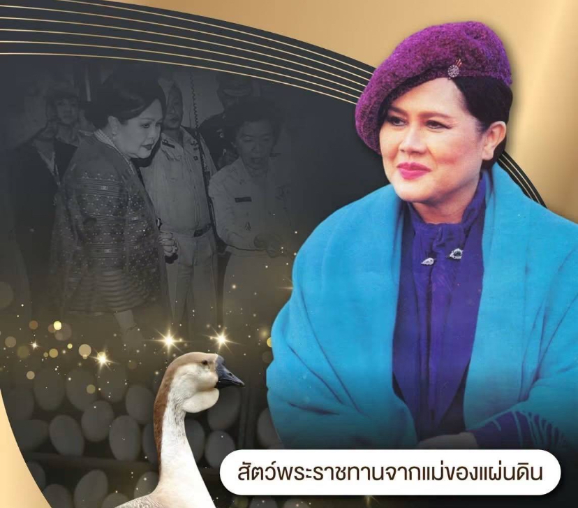 &ldquo;ห่านหัวสิงห์&rdquo; พลิกโอกาสเกษตรกรไทย สร้างรายได้ยั่งยืน สัตว์พระราชทานจากแม่ของแผ่นดิน